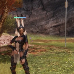 Seitengrat (Final Fantasy XII)