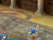 Final Fantasy Crystal Chronicles: Echoes of Time.