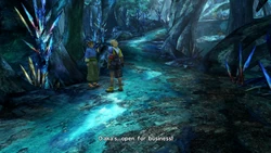 Wantz selling items in Macalania Woods.