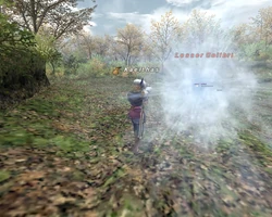 Water Bomb.