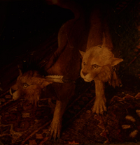 Red XIII species pups from FFVII Rebirth