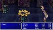 Final Fantasy II (PSP).