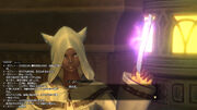 I'llofii from Final Fantasy XIV