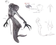 Lamia FFXI Art.jpg (317 KB) Lamia artwork.