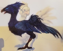 Artwork for Final Fantasy XV.