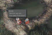 Quale final test from FFIX Remastered