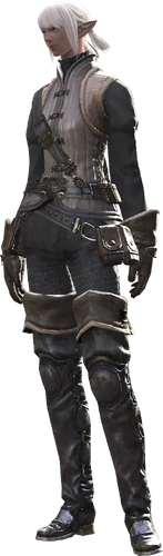 A full female Elezen render.