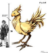 Chocobo-Size