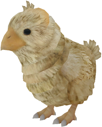 Chick