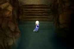 The Ancient Waterway (DS).