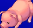 Pig portrait for Ursula, Porom, Luca, Calca, and Brina in Final Fantasy IV: The After Years (PSP).
