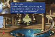 Beaches of the world ff9