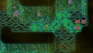 Acid in the Sylph Cave in Final Fantasy IV (PSP).