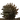 Malboro X2 portrait