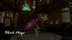 Black mage victory pose.