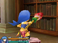 EoT Strawberry Broom