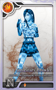 A Rank N Imaginary Brawler card.