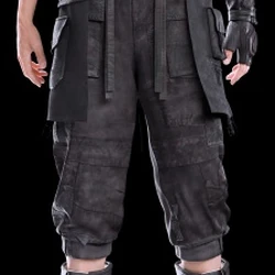 Noctis Lucis Caelum