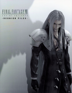 Final Fantasy VII: Advent Children -Reunion Files-