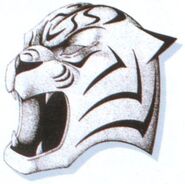 FFVI Tiger Mask Artwork