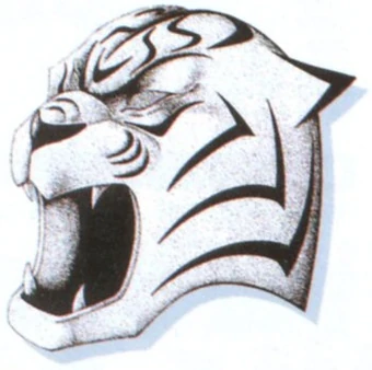 Tiger Mask | Final Fantasy Wiki | Fandom