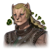 FFXIV Nitowikwe (Custom Deliveries)