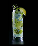 Artnia drink elixir.jpg (26 KB) Elixir