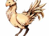 Chocobo