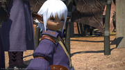 FFXIV Rurukuta