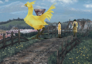 Winhill mother chocobo