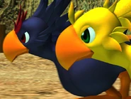 CS Chocobo SS.png (435 KB) Black and yellow chocobos.