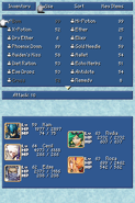 Main inventory menu in the DS version.