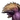 Behemoth X2 CC portrait