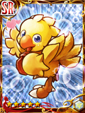 FTBG Chocobo