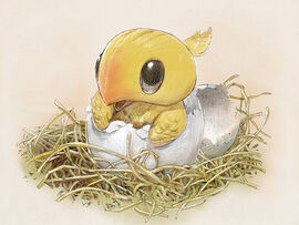 A chocobo hatching from its shell.