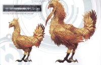 Chocobo concept art