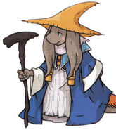 Black Mage (nu mou).