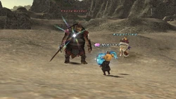 Final Fantasy XI.
