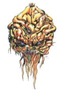 Amano Brain FII (color)