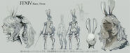 FFIXV viera concept art2
