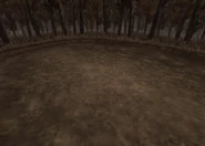 Forest4-ffix-battlebg.png (223 KB) Battle background for another forest in Final Fantasy IX.