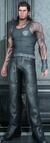 Gladiolus