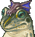 Frog Portrait (PSP).
