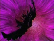 Omega3.jpg (9 KB) Omega's Fin.