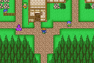 The village of Tule (GBA).