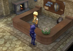 Armor Shop (DS/iOS).