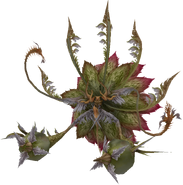 Rafflesia-ffxii.png (403 KB) Rafflesia