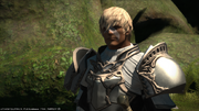 FFXIV Arenvald 4 1