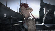 Male Au Ra Render
