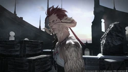Male Au Ra Raen render.